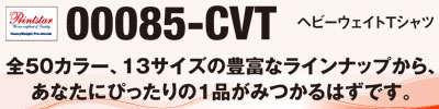 00085-CVT